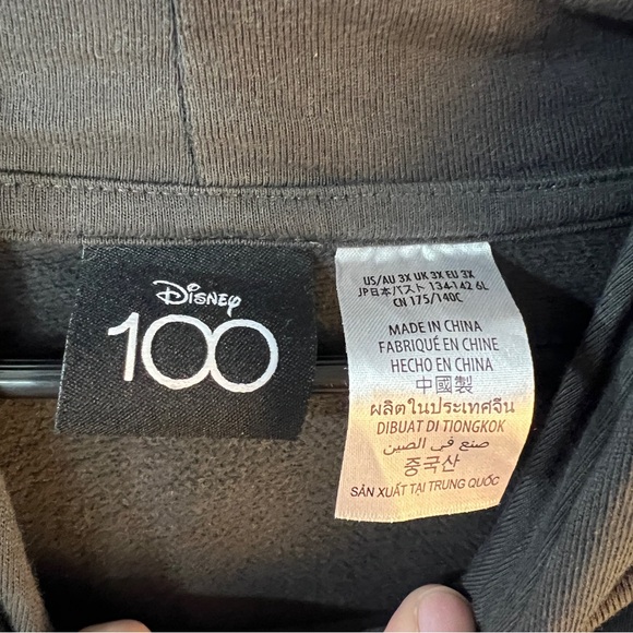 🧚Disneyland Grey Hoodie 3X - Picture 3 of 8